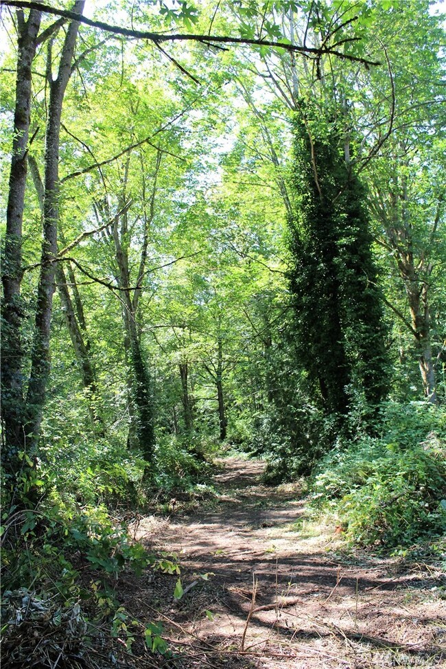 108TH 108th Ave E, Graham, WA 98338 - photo 7