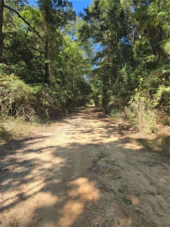 0 Riser Rd, Sikes, LA 71473 - photo 4