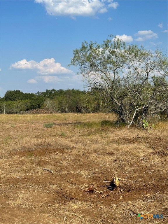 5894 Fm 1107 Unit B-Tract 1, Stockdale, TX 78160 - photo 4