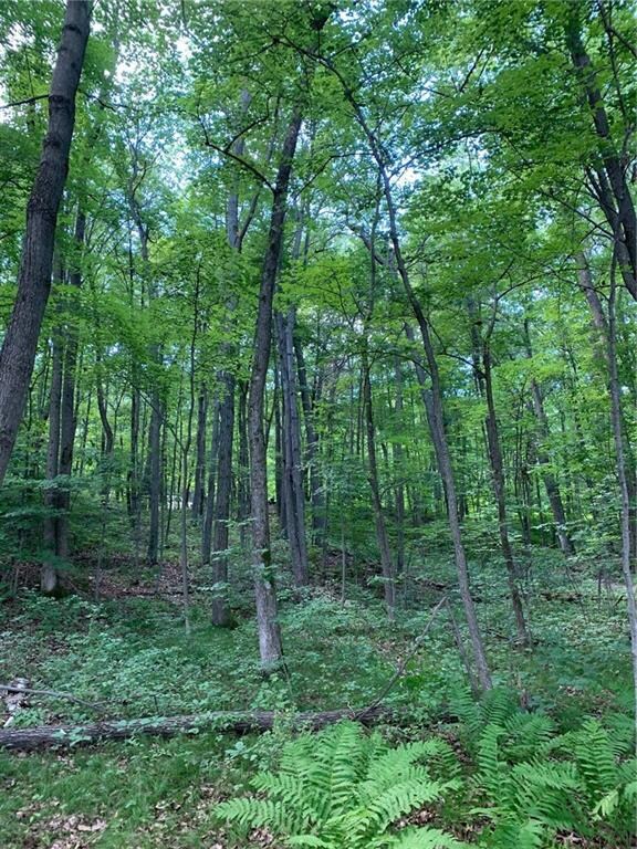 0000 Olsen Rd, Lincoln, WI 54893 - photo 7