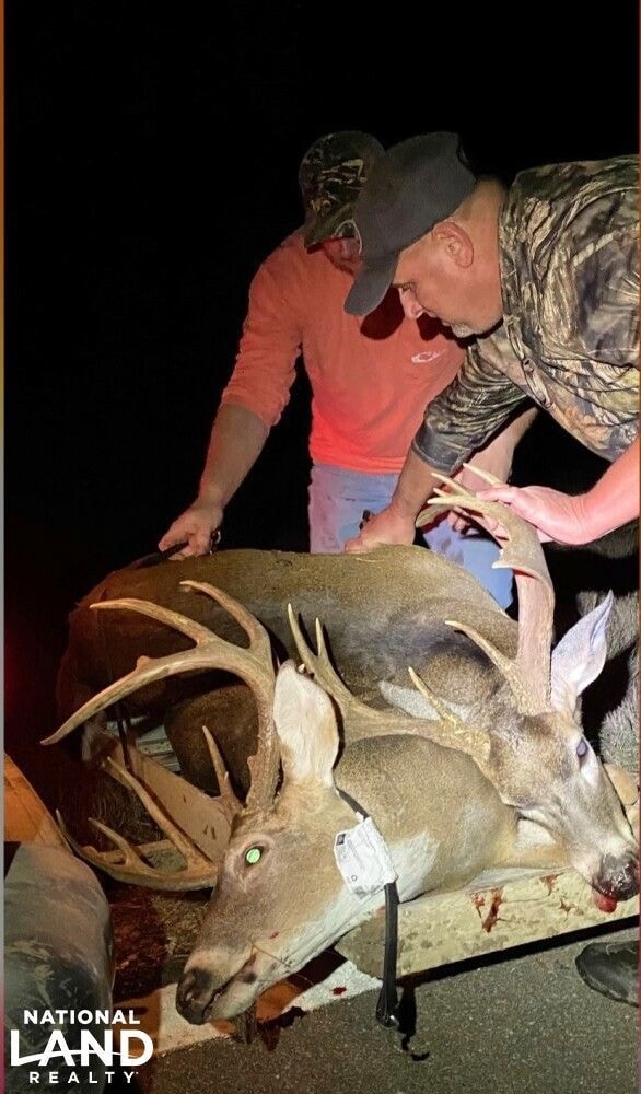 002 Arcadia Rd, Fitler, MS 39159 - photo 7