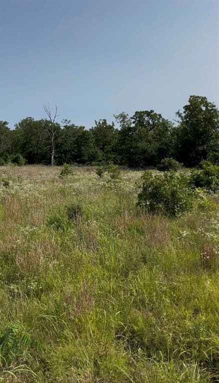 0 E118 Rd, Seminole, OK 74868 - photo 7