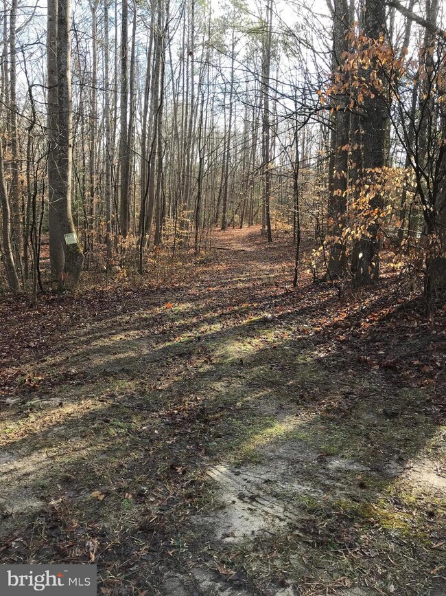 0 Foxhall Rd unit VAWE115710, Colonial Beach, VA 22443 - photo 2