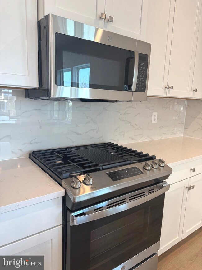 21460 Mount Sterling Terrace unit 100, Sterling, VA 20164 - photo 7