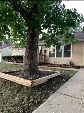 Front yard with nice shadetree!