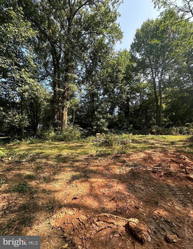 0 Cokesbury Rd, 7, Port Deposit, MD 21904 - photo 6