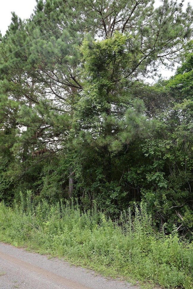 45 Partridge Rd, Kingstree, SC 29556 - photo 4