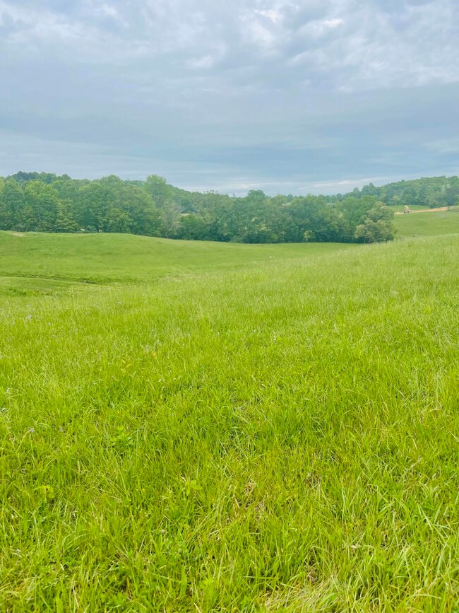 9999 Shiner Hill Phase II Lot #37, Williamsburg, KY 40769 - photo 5