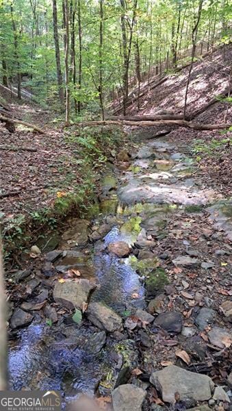 636 Brooks Ct, Ranger, GA 30734 - photo 5