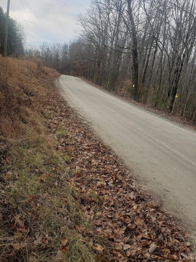 0 Mountain Creek Rd unit 363467, Prince Edward, VA 23942 - photo 2