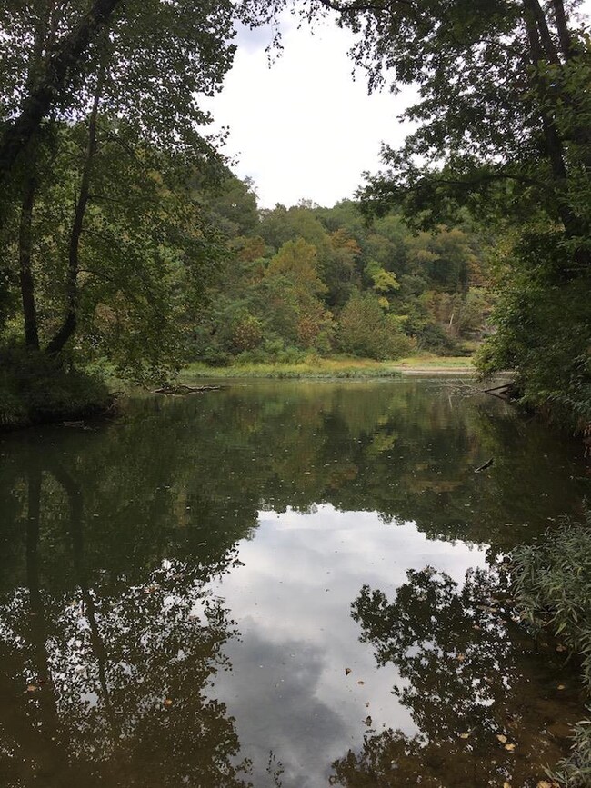 225 Whitaker Bend Rd, Linden, TN 37096 - photo 4