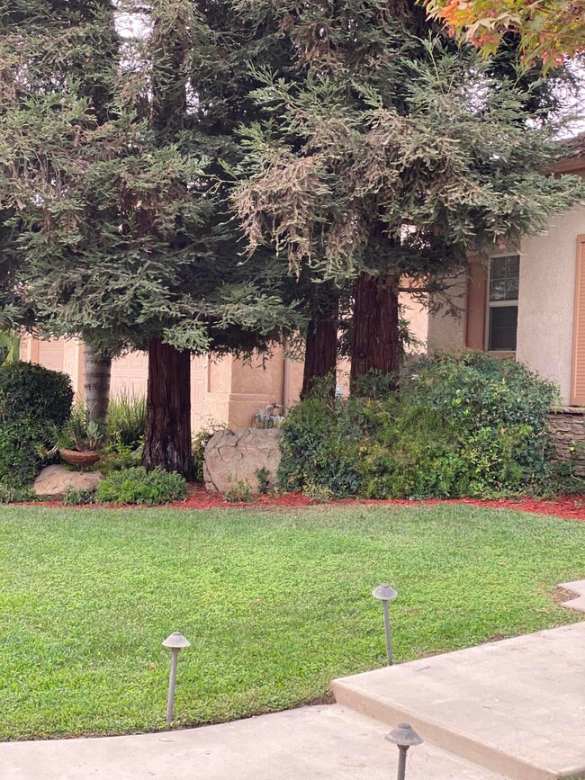 EFE3D9BF-BD22-4F9C-8434-EE3C69590C3E