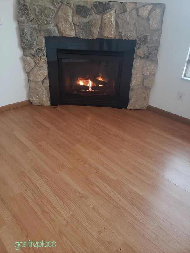 gas fireplace