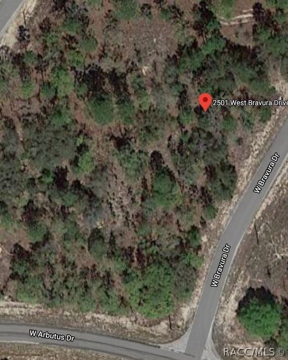 2501 W Bravura Dr, Citrus Springs, FL 34433 - photo 5