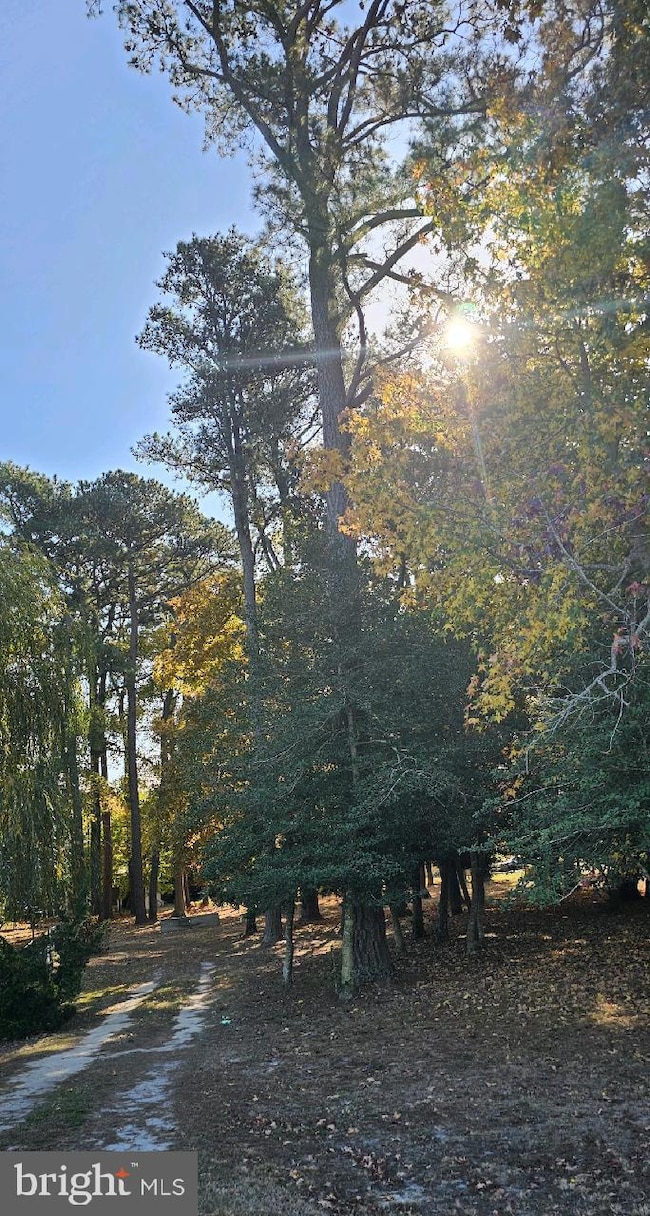 5 and 7 Woodland Ave, Ocean View, DE 19970 - photo 3