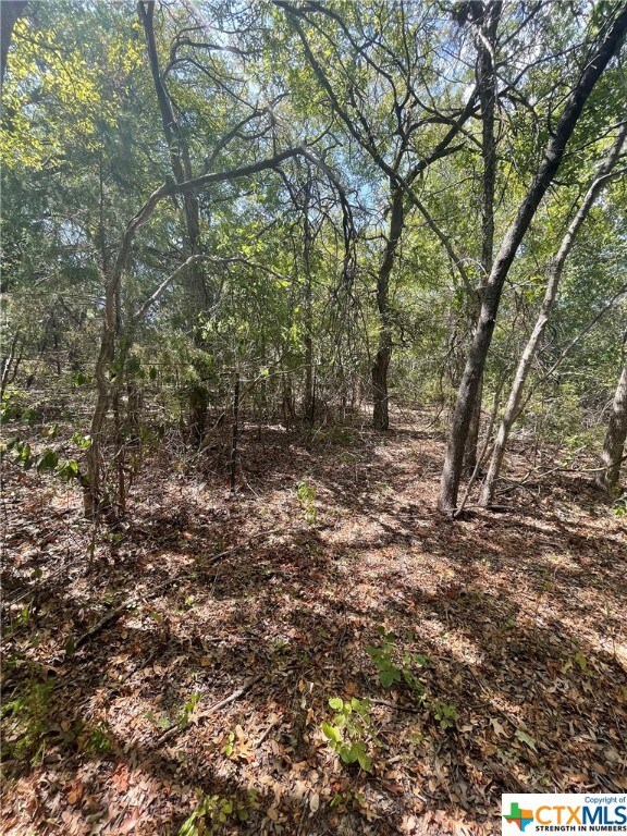 TBD Oak Mott Rd, Bruceville-Eddy, TX 76524 - photo 3