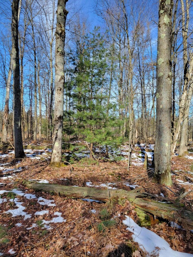 0 E Lincoln St, Brohman, MI 49312 - photo 5