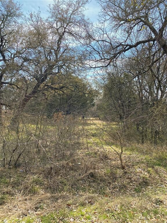 26012 Woodacre Rd, Whitney, TX 76692 - photo 5