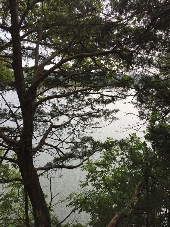 0 Shockley Place Rd, Township 2, AR 72756 - photo 7