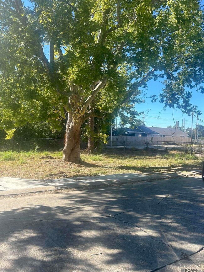 262 E Grant St, Baton Rouge, LA 70802 - photo 3