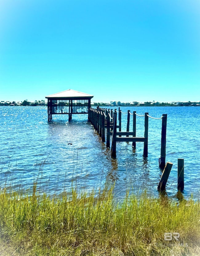 Dock with a water view