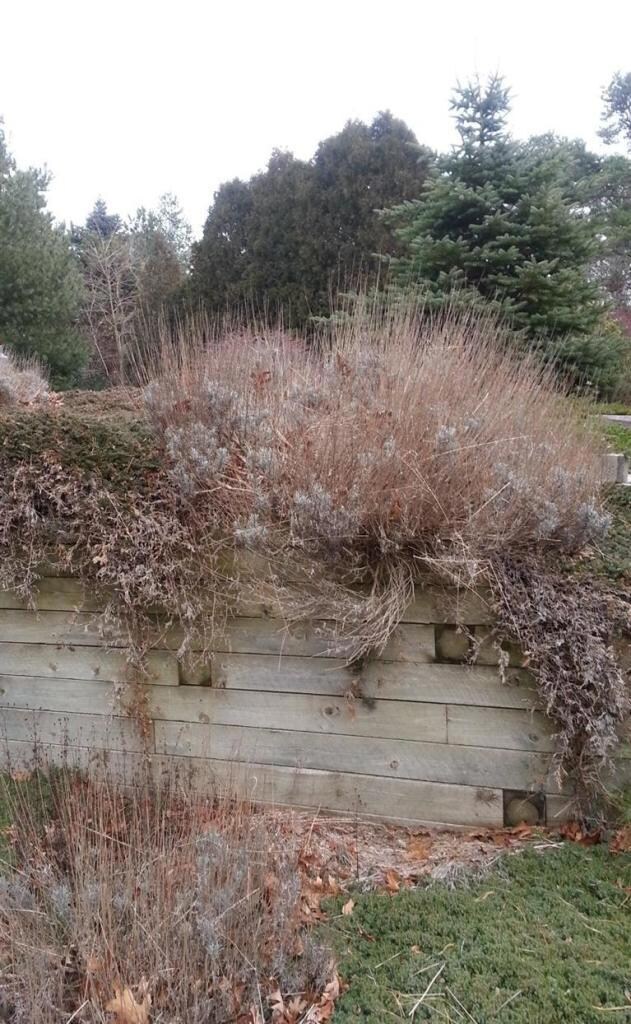 55 Service Rd, East Sandwich, MA 02537 - photo 5