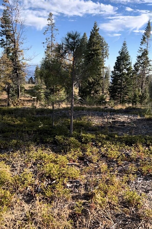 0 Shaver Lake unit 640388, Auberry, CA 93602 - photo 3