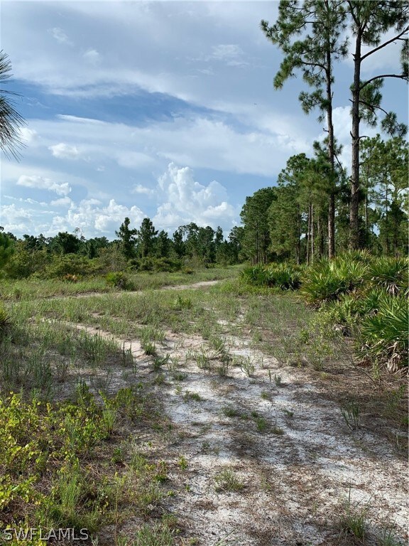 0 Access Undetermined unit 222064855, Lehigh Acres, FL 33974 - photo 6