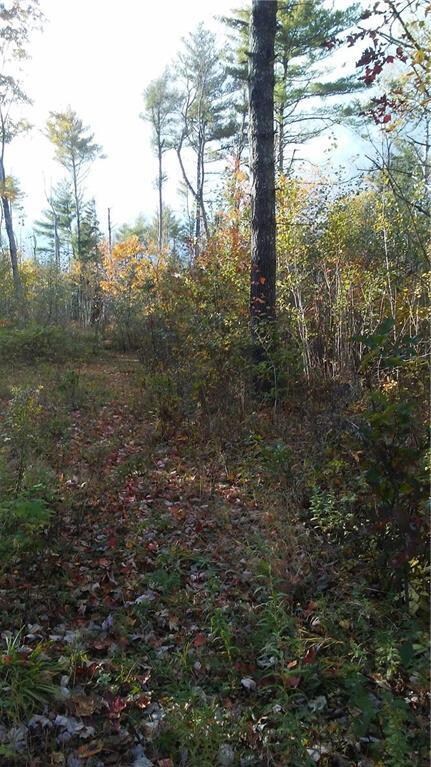Path leading into the lot