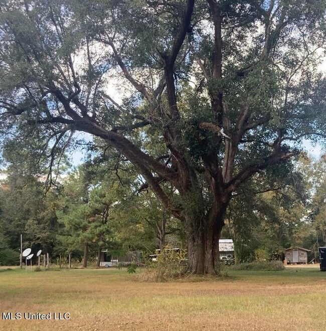 oak
