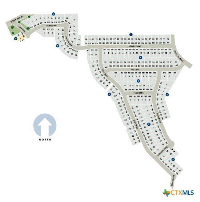3007 Nash Dr, Canyon Lake, TX 78132 - photo 3