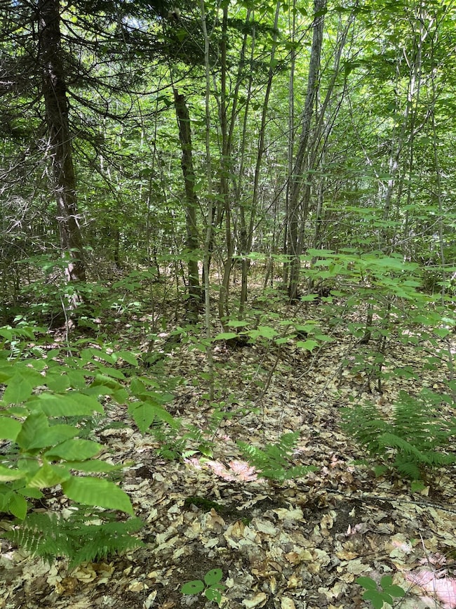 Acreage