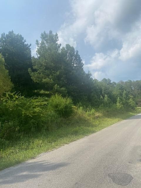 151 Casson Rd, Ocoee, TN 37361 - photo 4