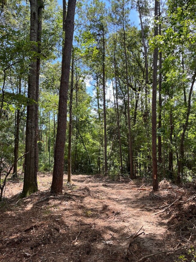 La Hwy 1058 unit LotWP001, Kentwood, LA 70444 - photo 3