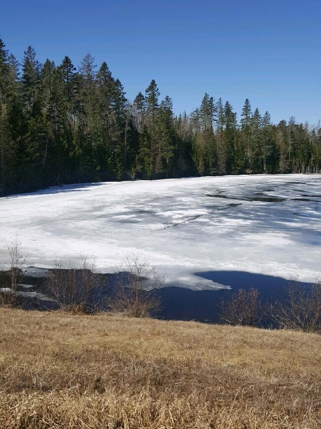 0 Carvell Rd, Chapman, ME 04757 - photo 6