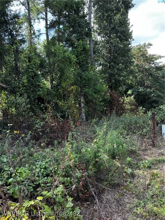 TBD N Rudy Rd, van Buren, AR 72956 - photo 2