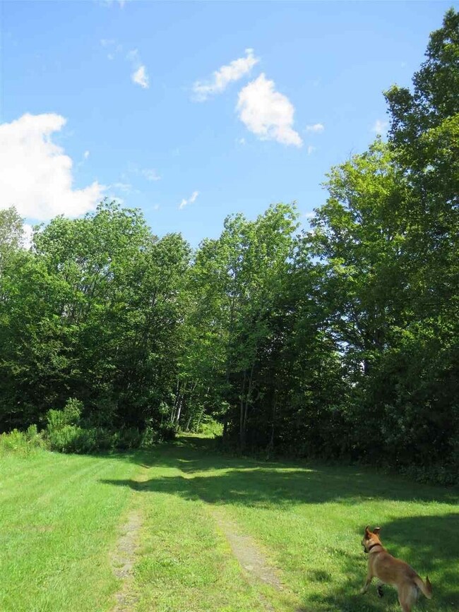 360 School Rd unit 2, Barre, VT 05641 - photo 6