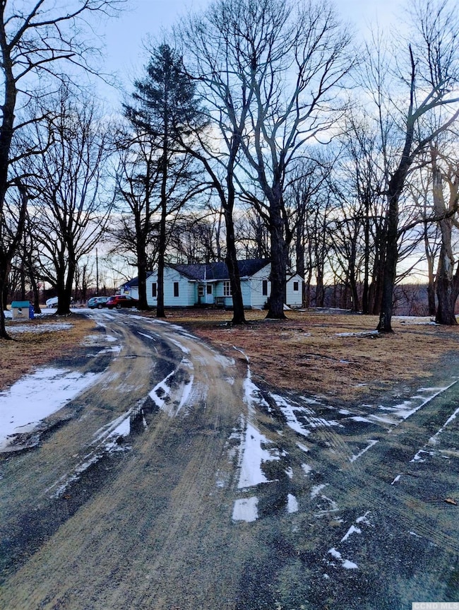 1644 Route 9, Stuyvesant, NY 12173 - photo 4