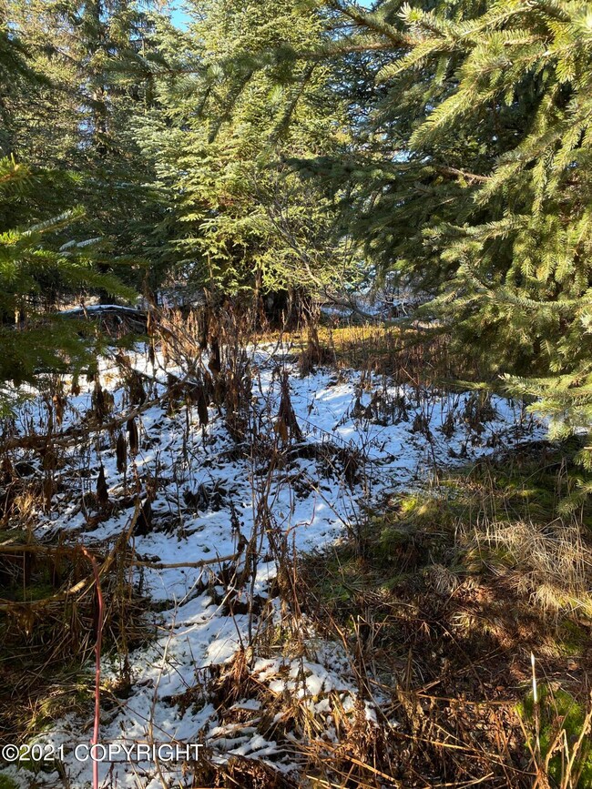 0000 Trail Rd, Anchor Point, AK 99556 - photo 7