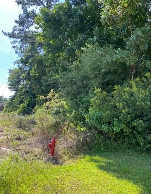 0 Ravenhurst Dr, Moss Bluff, LA 70611 - photo 3