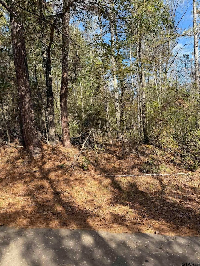 TBA #2 Acr 1204, Elkhart, TX 75839 - photo 2