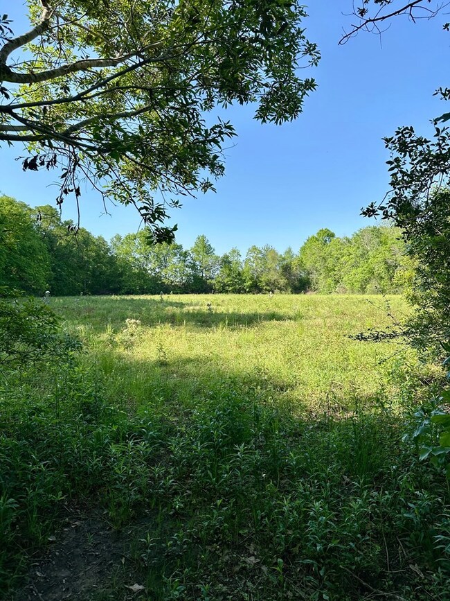 000 Moeller Rd, Picayune, MS 39466 - photo 2