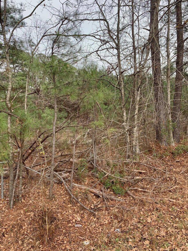 199 Lazy Acre Loop2