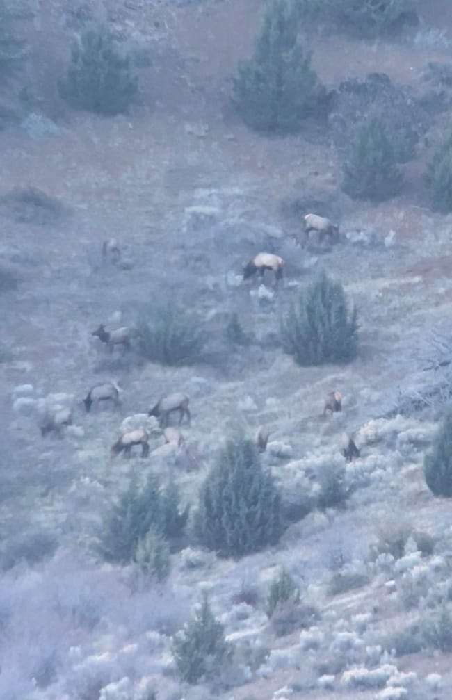 52960 Cummings Creek Rd, Mount Vernon, OR 97865 - photo 5