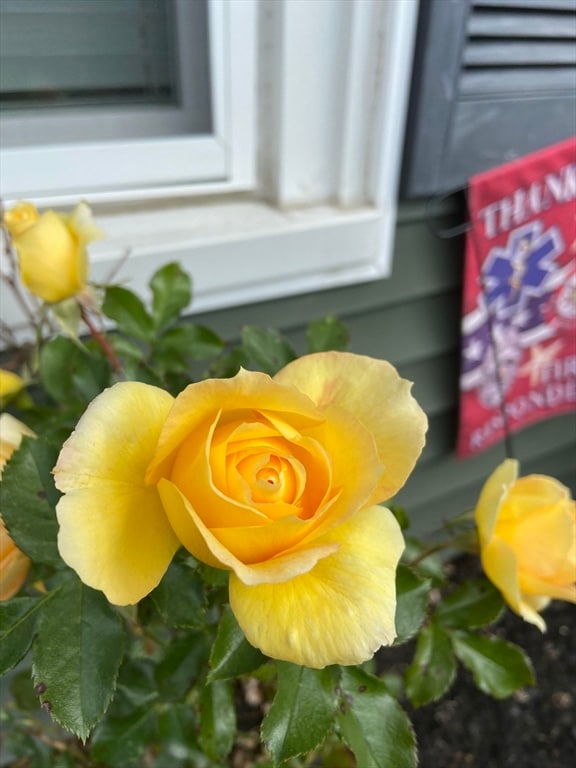 262 Homeland Dr, Whitman, MA 02382 - photo 6