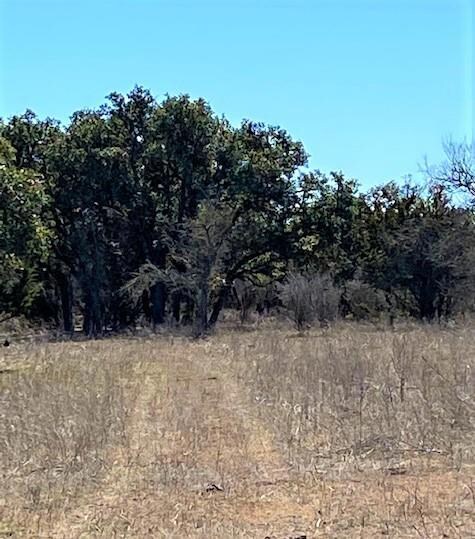 0 Pfiester Rd unit 79188, Fredericksburg, TX 78624 - photo 6