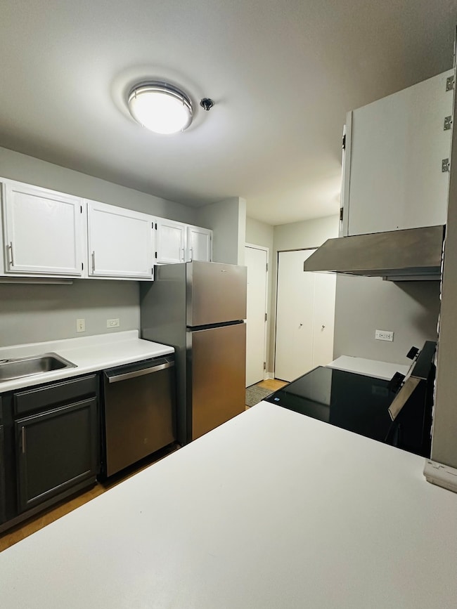 Kirchoff Meadows unit 106, Rolling Meadows, IL 60008 - photo 3