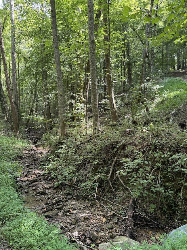 0 Albert Fentress Rd unit RTC2906900, Greenbrier, TN 37172 - photo 5