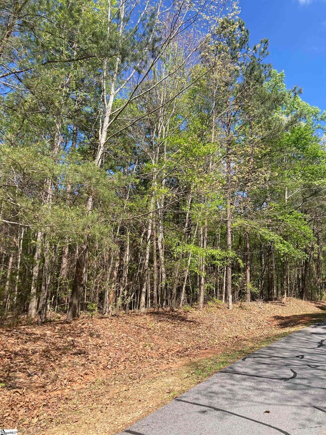 0 E Watersedge Dr unit 1553289, Fair Play, SC 29643 - photo 5