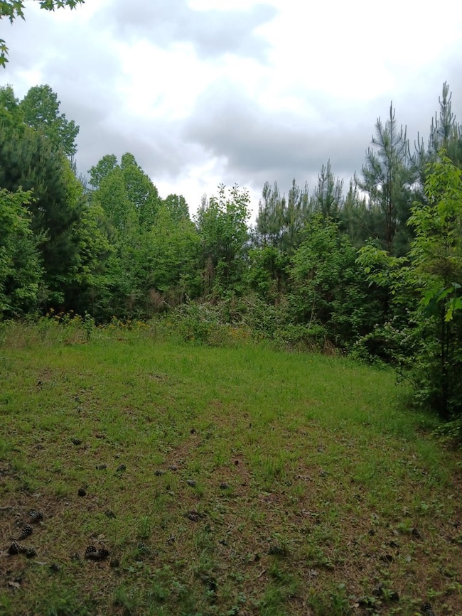 7.52 Ac. Hicks Ford Rd, Ellijay, GA 30540 - photo 5